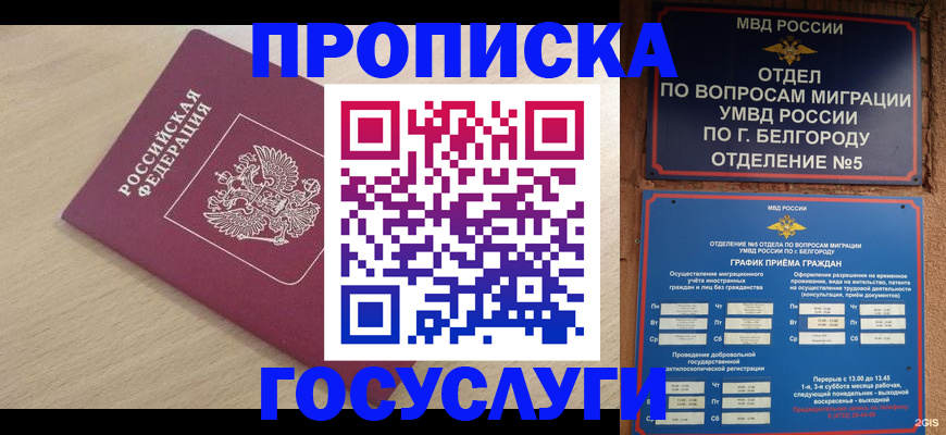 прописка законно в Белёве